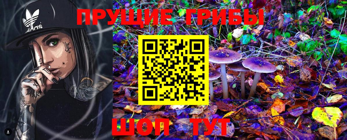 Белореченск  Псилоцибиновые грибы Psilocybe  Вход с VPN 